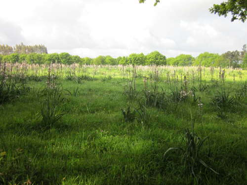 3660 2012-05-19 09-43