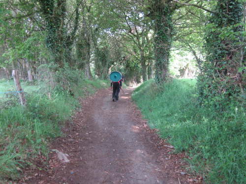 3661 2012-05-19 09-43