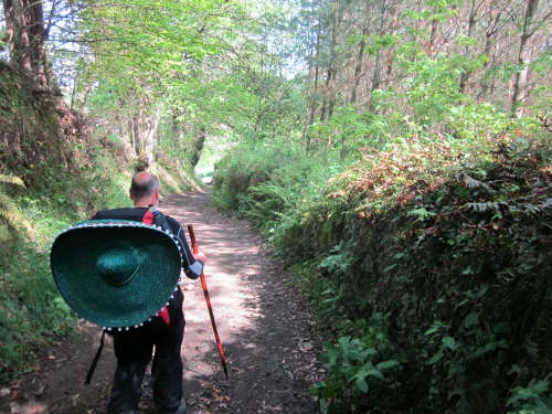 3675 2012-05-19 11-26