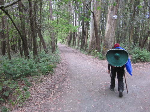 3679 2012-05-19 12-33