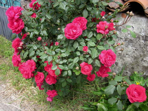 3685 2012-05-19 13-23