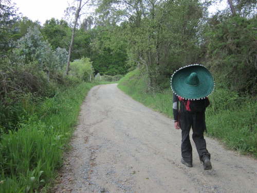 3687 2012-05-19 13-48