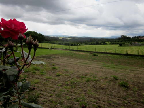 3689 2012-05-19 15-03