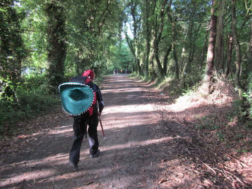 3705 2012-05-20 08-37