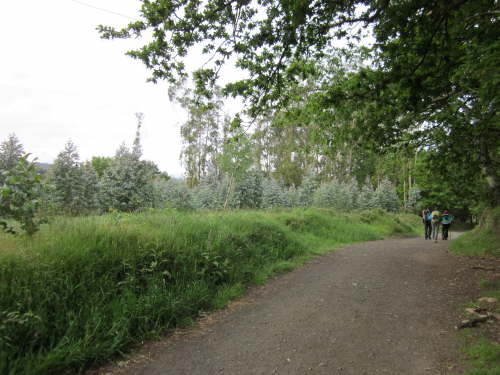 3713 2012-05-20 09-47