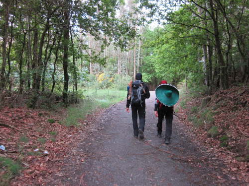 3715 2012-05-20 09-52