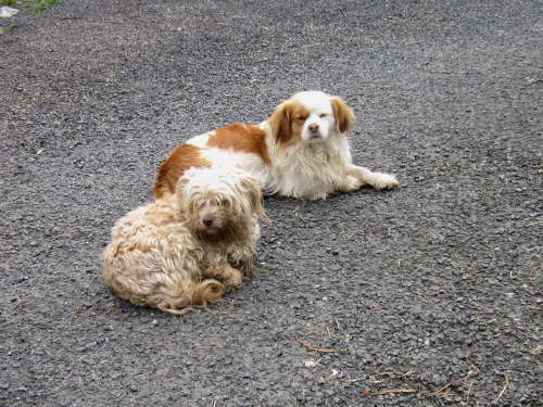 3720 2012-05-20 10-03