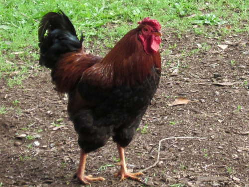 3724 2012-05-20 10-20