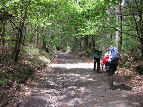 3742 2012-05-20 13-26