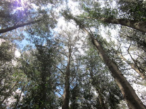 3743 2012-05-20 13-28