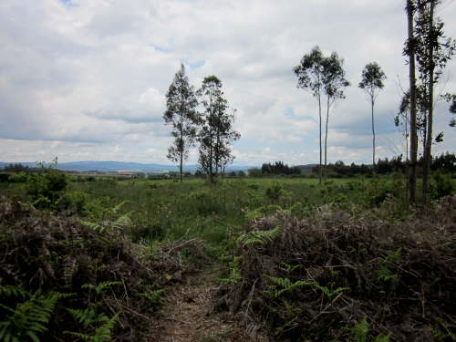 3764 2012-05-20 15-45