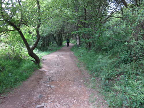 3769 2012-05-20 15-57