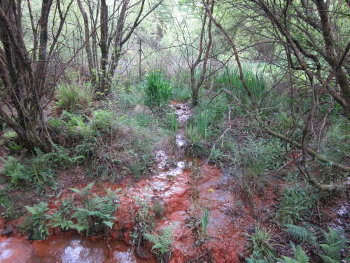 3772 2012-05-20 15-59