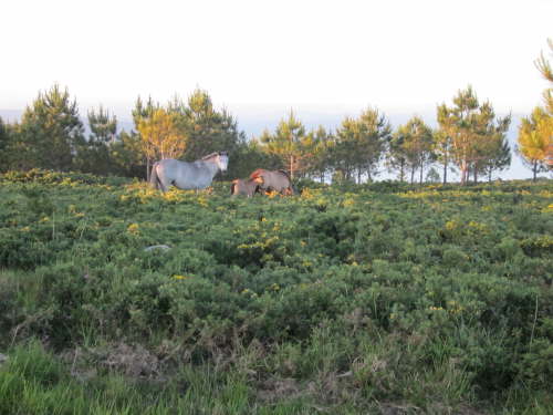 3919 2012-05-22 21-35