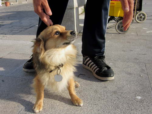 4038 2012-05-24 09-02