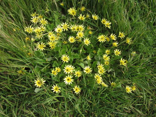 4065 2012-05-24 10-57