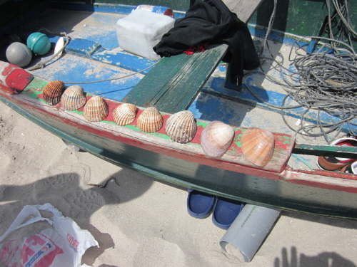 4084 2012-05-24 15-27